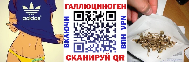 где можно купить наркотик  Сурск  Галлюциногенные грибы Magic Shrooms 