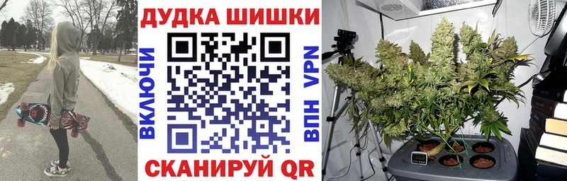 Бошки Шишки план  Сурск 